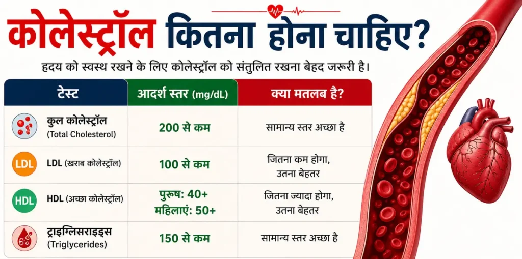 कोलेस्ट्रॉल कितना होना चाहिए? LDL, HDL, ट्राइग्लिसराइड्स की सामान्य रेंज, हृदय और धमनियों का स्वास्थ्य दर्शाता मेडिकल इन्फोग्राफिक।